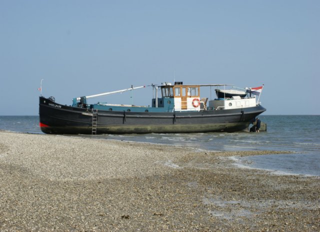 mskabeljauw15.jpg